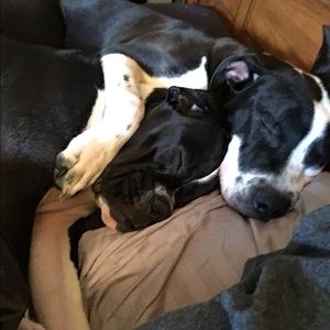 Meet your Posher, Cheri